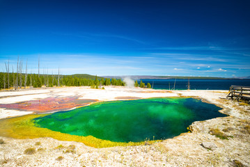 Yellowstone National Park, Wyoming, USA.  Prismatic spring.  Abyss Pool at West Thumb.