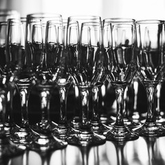 rows of glass glasses in black and white photo of a close up 
