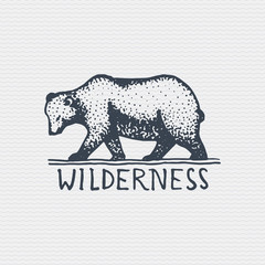 vintage old logo or badge, label engraved and old hand drawn style with wild grizzly bear