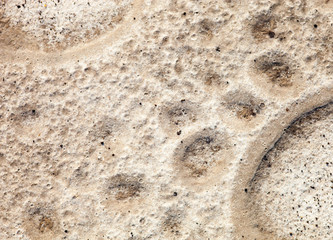 Sand surface after the rain