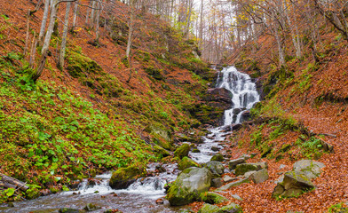 Autumn forest with river and waterfall