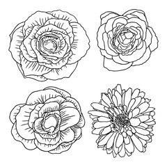 Tropical floral set. Tropical exotic and domestic summer flowers collection in bright colors and drawing style. Vector illustration.