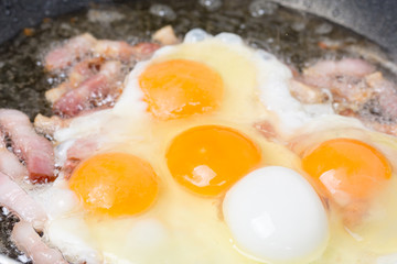 Frying eggs with sliced bacon in the hot oil