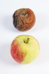 Old wrinkled moldy and fresh apple on white background