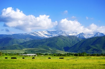 Fototapeta na wymiar Carpathians Mountains, Romania