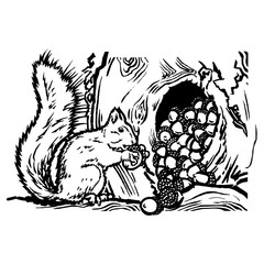 Squirrel storing nuts in the hollow knot of a tree.

