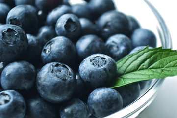 Blueberries in a bowl with a green leaf, close-up