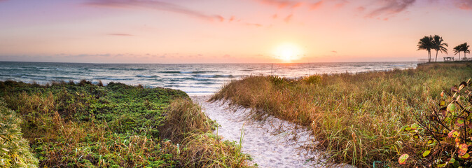 Path Leading to Beach Sunrise