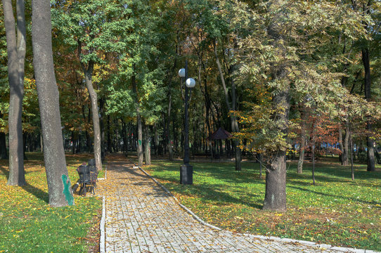 Парковая аллея в осеннем городском парке