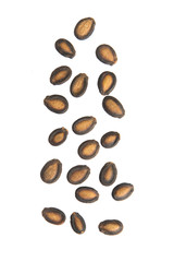 Dry black watermelon falling isolated on white background.