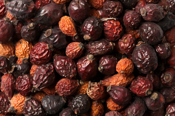 briar background . dog-rose. Dried rosehip berries.