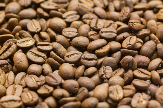 Coffee Beans close up
