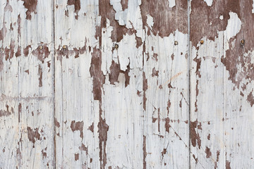 White wooden texture as a background,Cracked painted wooden board texture