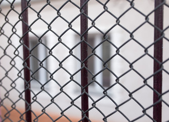 metal mesh fence as a backdrop