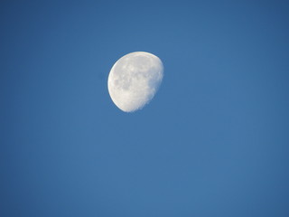 Naklejka na ściany i meble moon in blue sky