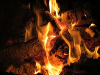 wood on fire
