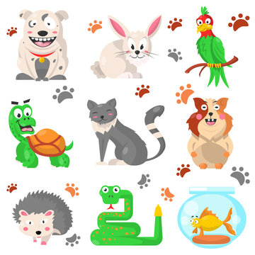 Cartoon pets colorful collection with their footprints on white
