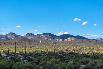 Cactus, Clouds, and Mountains in the Desert