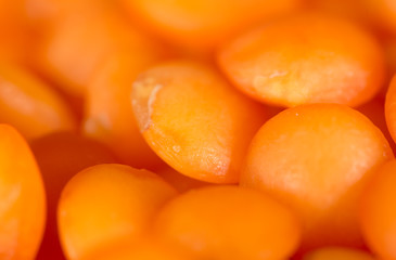lentils as a background. macro