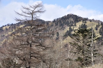 奥秩父山塊 古礼山