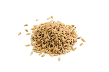 paddy isolated on white background