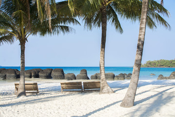 Obraz na płótnie Canvas Palm trees on beach with blue sea background in summer season