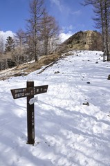 初冬の笠取山