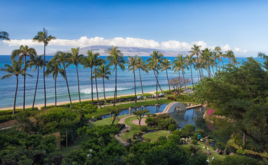 Fototapeta na wymiar Hawaii beach