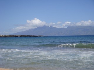 Hawaiian shore