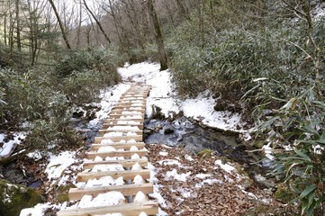 笠取山 雪の源流のみちの木道