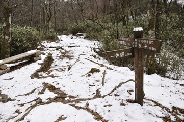 雪の登山道