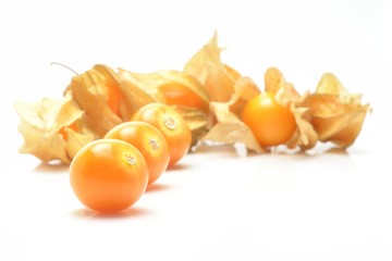 physalis isolated on white background