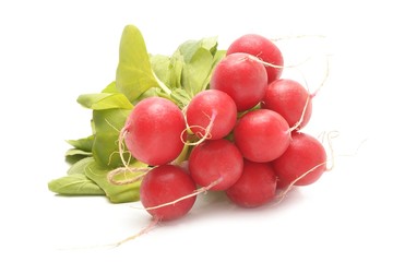 Fresh red radishes on a white background