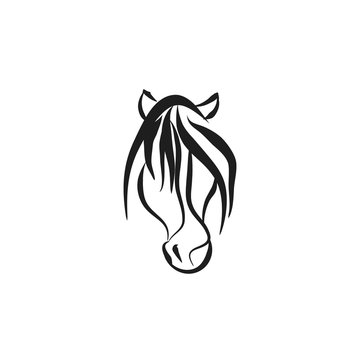 the horse head is from black lines on white background, abstract vector illustration