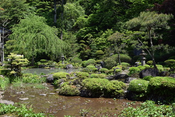 美しい日本庭園