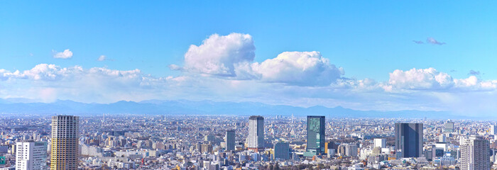 Fototapeta premium 東京の風景