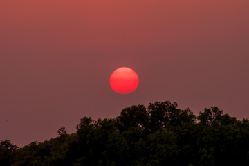 Beautiful sun over the tea, sunset shot