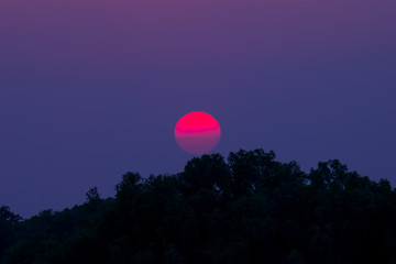 Beautiful sun over the tea, sunset shot