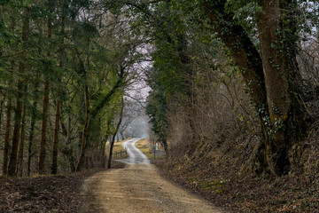 Obraz premium Blauenweid