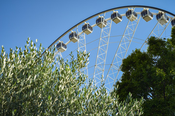 Fototapeta premium Ferris Wheel