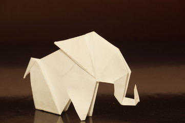 Paper origami elephant isolated on a colorful background