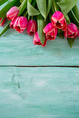 Fototapeta na wymiar pink tulips on turquoise wooden surface