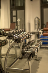 Dumbbell in the gym