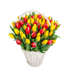 Bouquet of tulips