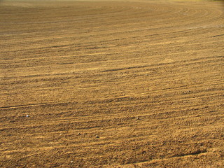 整備された草野球場の内野