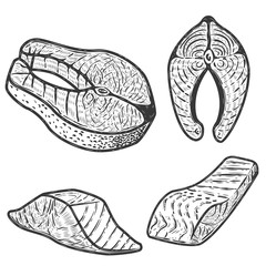 Set of salmon meat pieces isolated on white background. Design element for menu, label, emblem, sign, poster. Vector illustration.