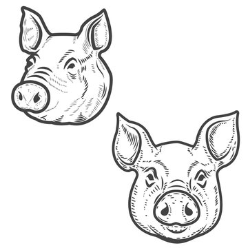 lord of the flies pig head cartoon