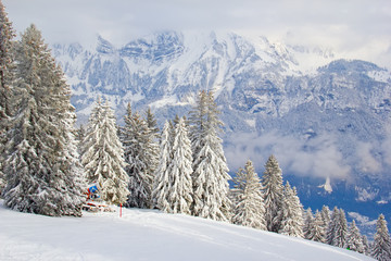 Winter in alps