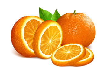 Vector illustration of oranges