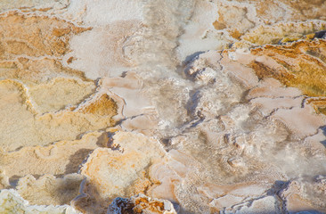 Mammoth hot springs